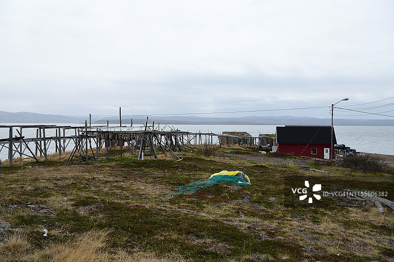 挪威内斯比死亡的鱼图片素材