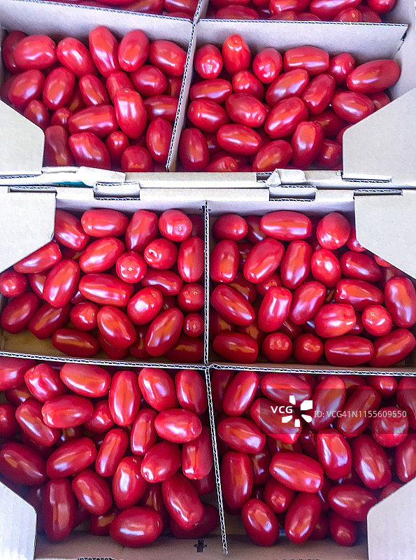 绿色蔬菜店纸箱中的李子番茄图片素材