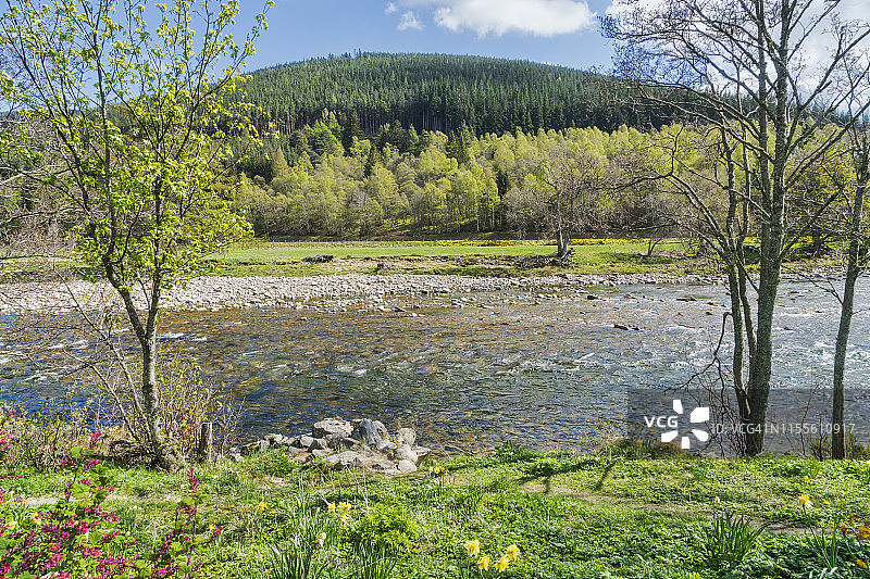 春季，迪河位于苏格兰阿伯丁郡巴拉特图片素材