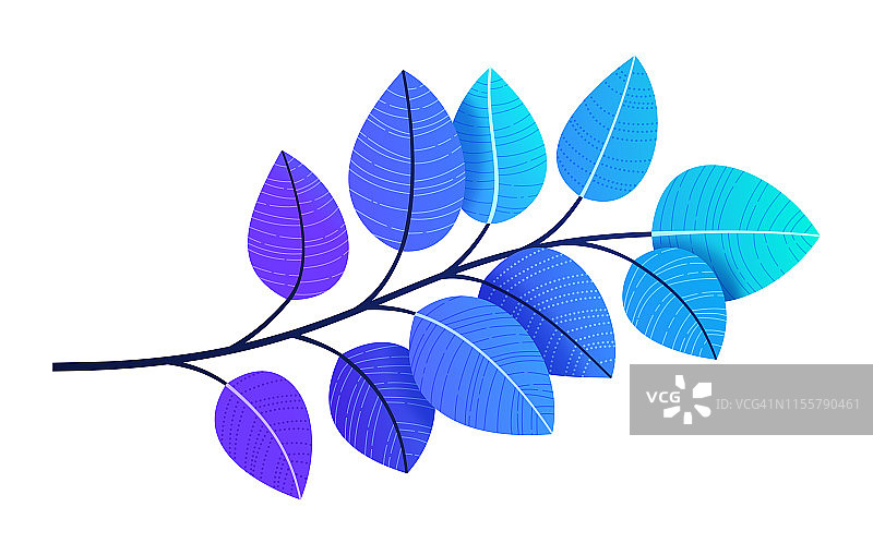 树叶枝图片素材