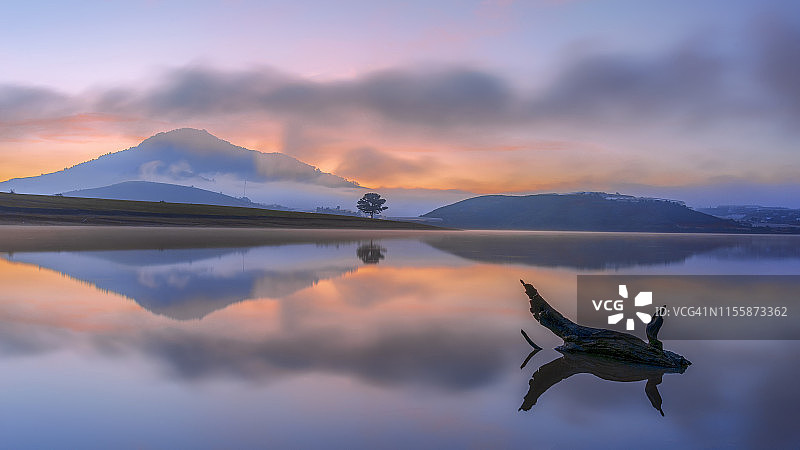 日出时分，湖面倒映着孤独的松树，天空和云彩充满神奇色彩图片素材
