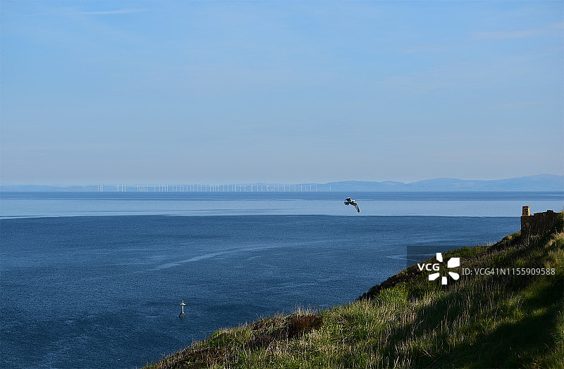 自由飞翔图片素材