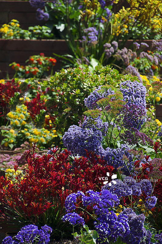 前院花园花卉图片素材