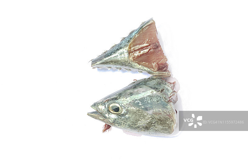 白色背景上的金枪鱼头尾图片素材