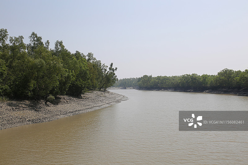 孟加拉国孙德尔本斯图片素材