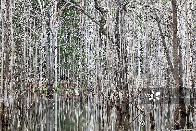 冬季湖面日出图片素材