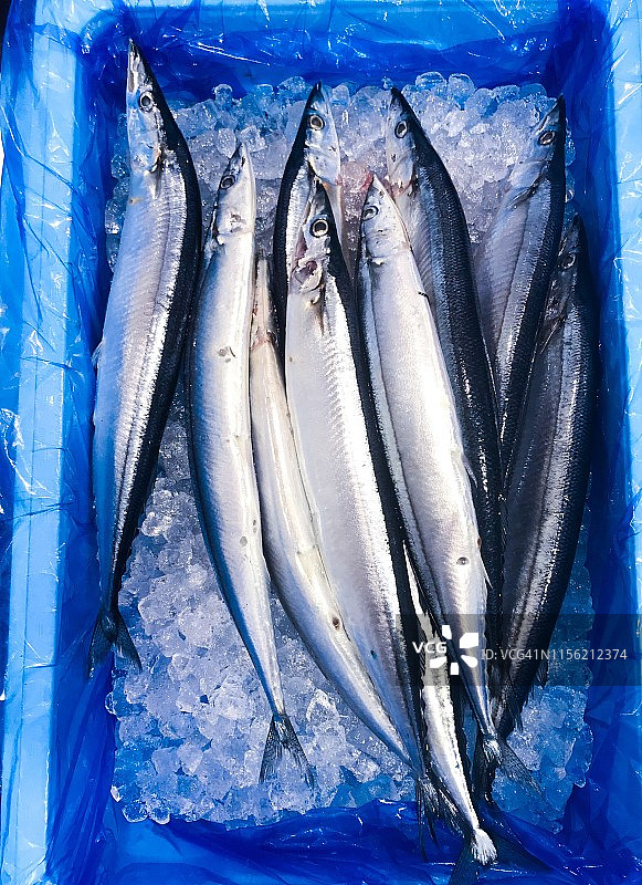 市场冰鲜秋刀鱼图片素材