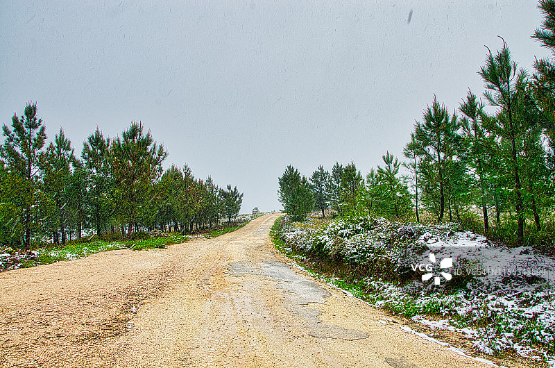 雪景图片素材