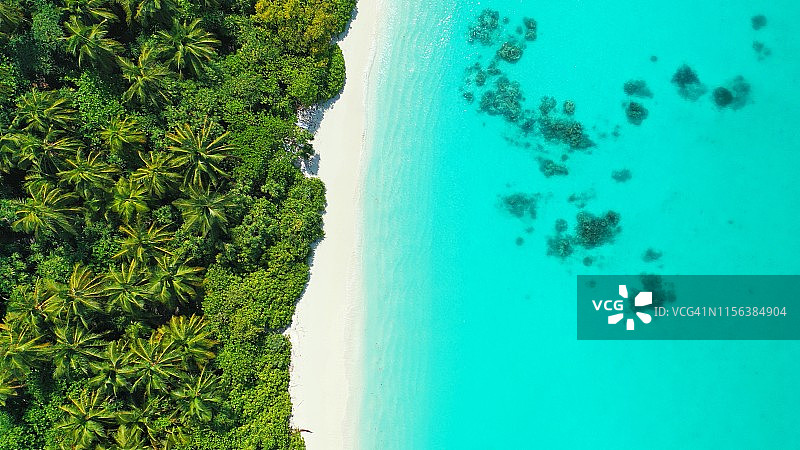 白色沙滩和热带棕榈树的鸟瞰图图片素材