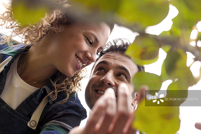 在花园里的幸福情侣图片素材