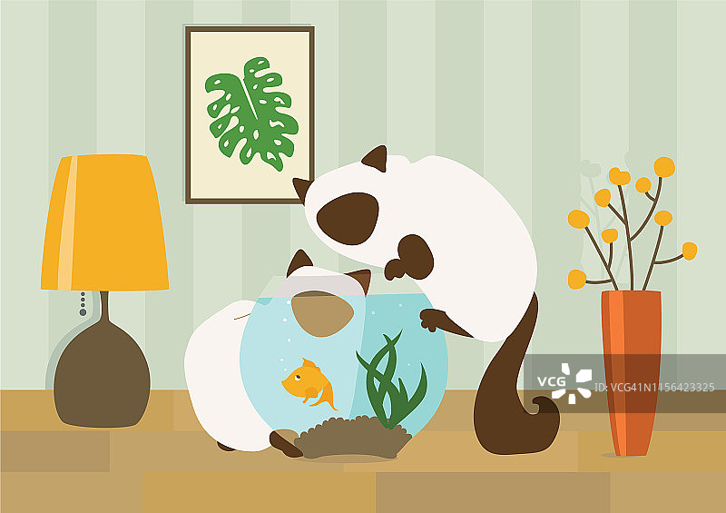 鱼缸里的坏小猫图片素材