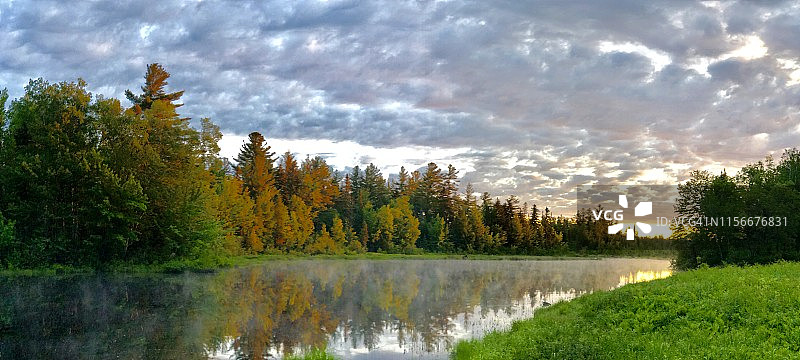 新罕布什尔州达默附近的小池塘和湿地森林，有驼鹿在觅食图片素材