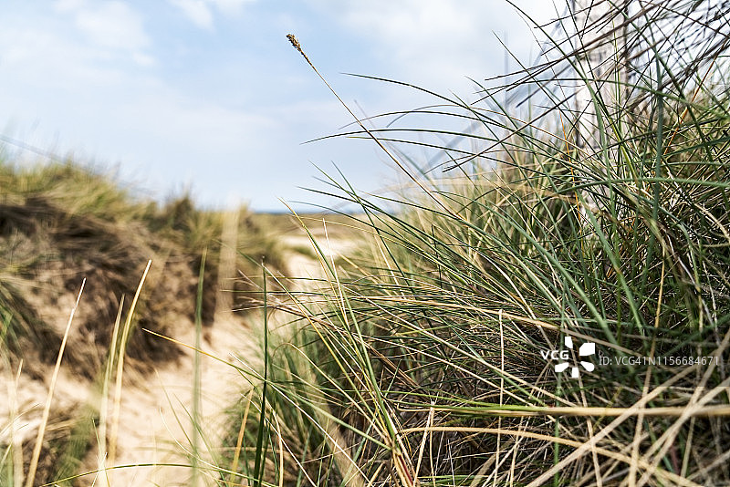 德国海滩沙丘景观图片素材