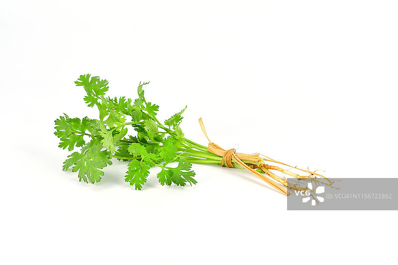 新鲜香菜，亚洲烹饪食材图片素材