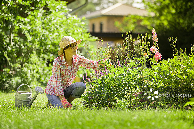 老年妇女在花园中图片素材