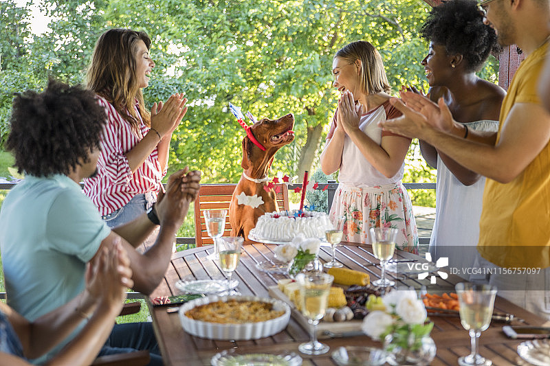 庆祝狗狗生日图片素材