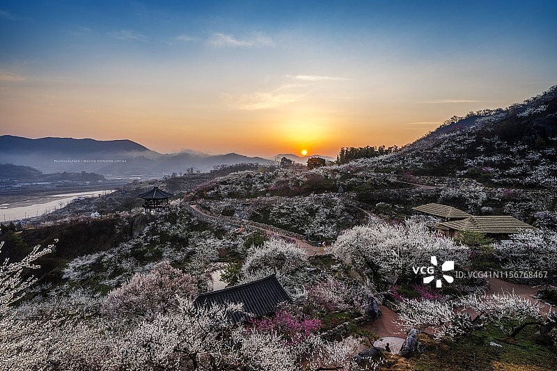 韩国光阳市梅花村的宁静景色图片素材