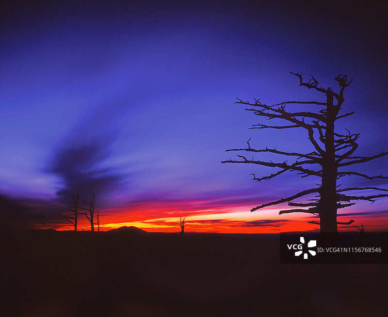 韩国智异山伴若峰的日落和枯树图片素材