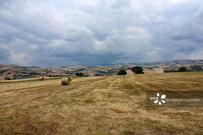 普利亚地区的麦田图片素材