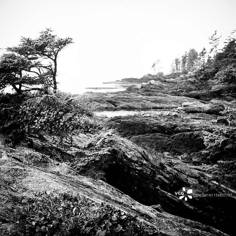 温哥华岛I图片素材