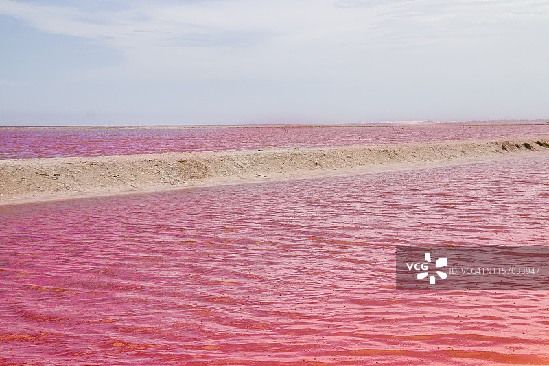墨西哥里奥拉加托斯的科罗拉达泻湖粉红盐湖图片素材