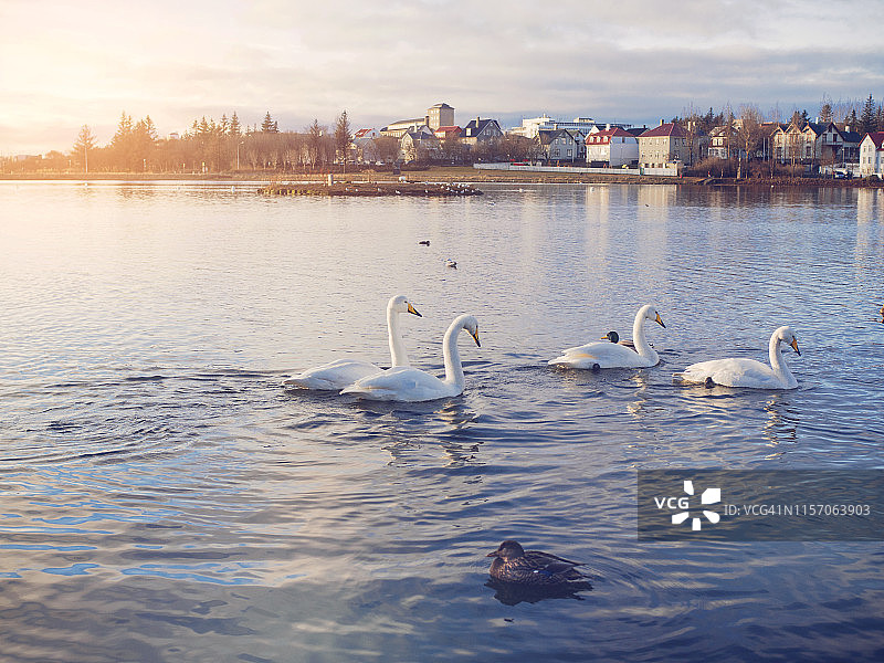 Tjornin湖图片素材