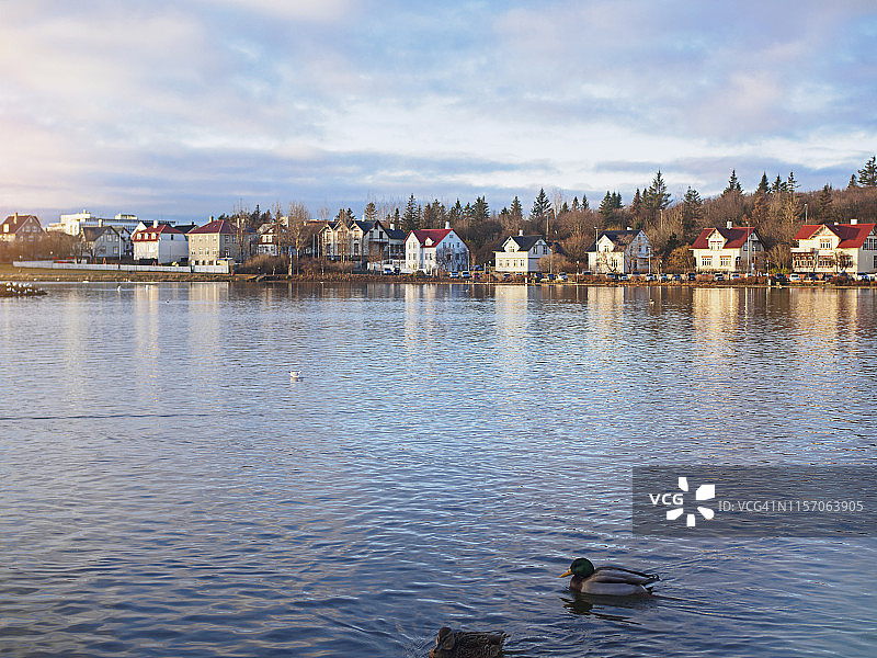 Tjornin湖图片素材