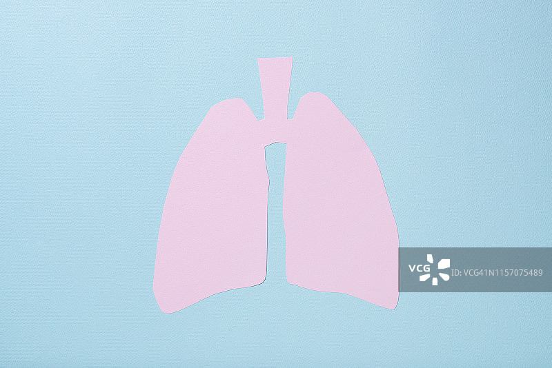肺图片素材