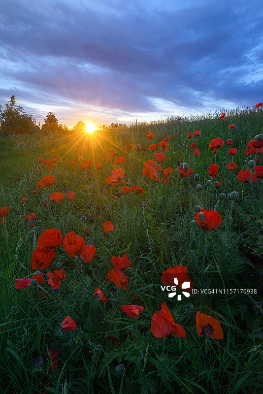 科罗拉多州博尔德的肖托夸公园图片素材