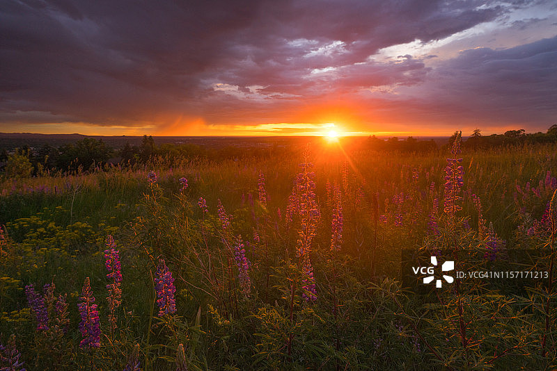 科罗拉多州博尔德的肖托夸公园图片素材
