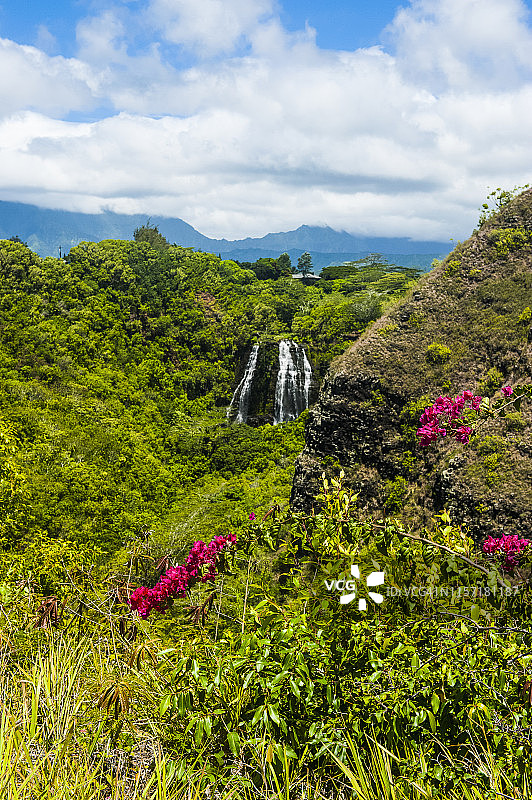 美国夏威夷考艾岛奥帕卡阿瀑布图片素材
