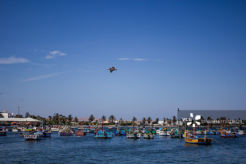 帕拉卡斯查科码头图片素材