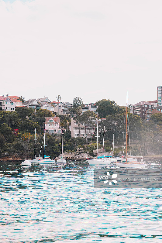 Vivid 2019图片素材