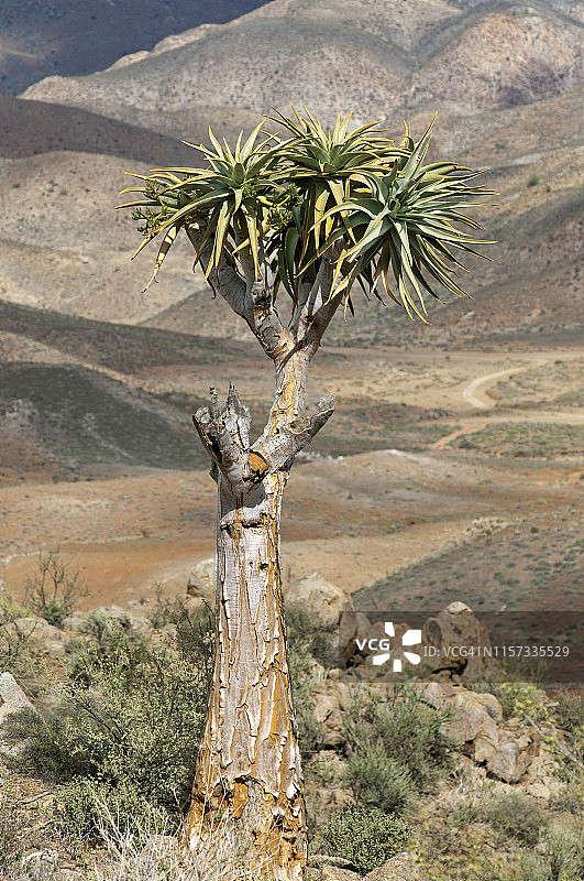 南非国家公园山景图片素材