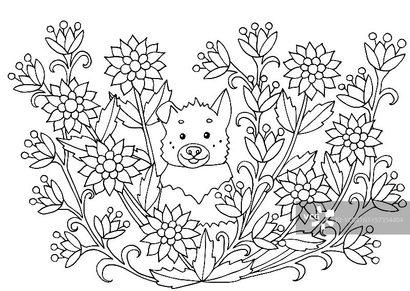花朵与狗的涂色页图片素材