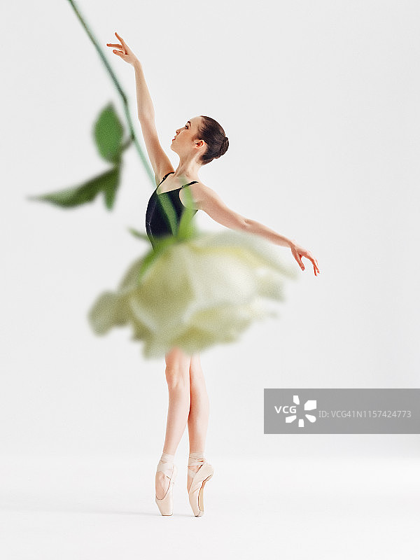 美丽的芭蕾舞图片素材