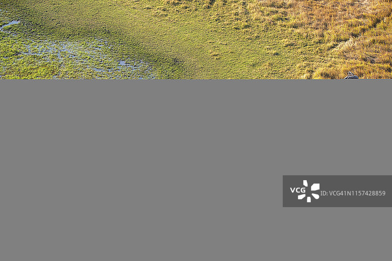 博茨瓦纳奥卡万戈三角洲大象航拍图片素材