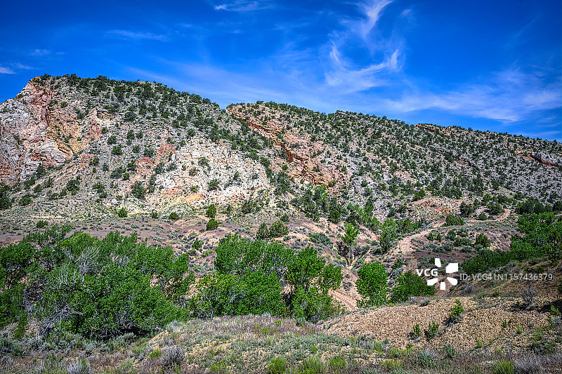 犹他州南部大阶梯-埃斯卡兰特国家纪念碑棉白杨峡谷的山坡和土路景观图片素材