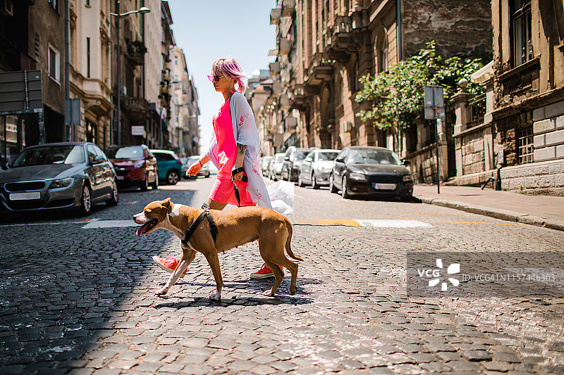 遛狗的年轻女人图片素材