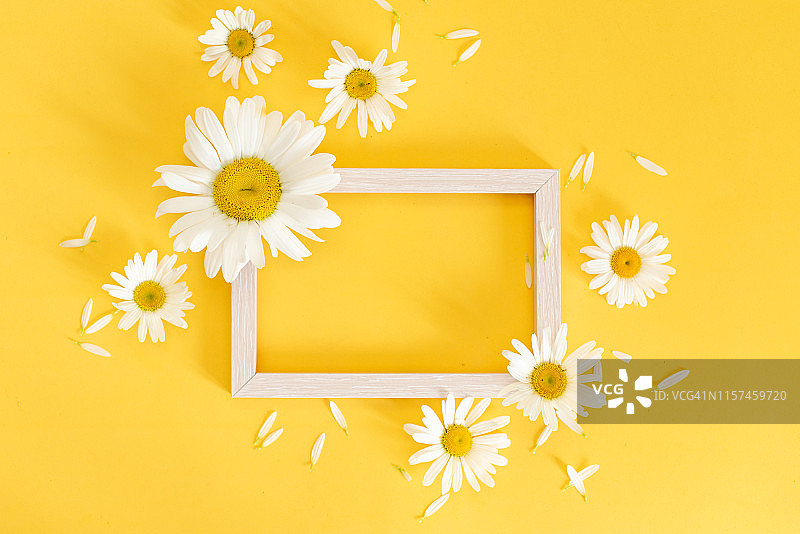 蓝色粉彩雏菊花卉平铺图案背景图片素材