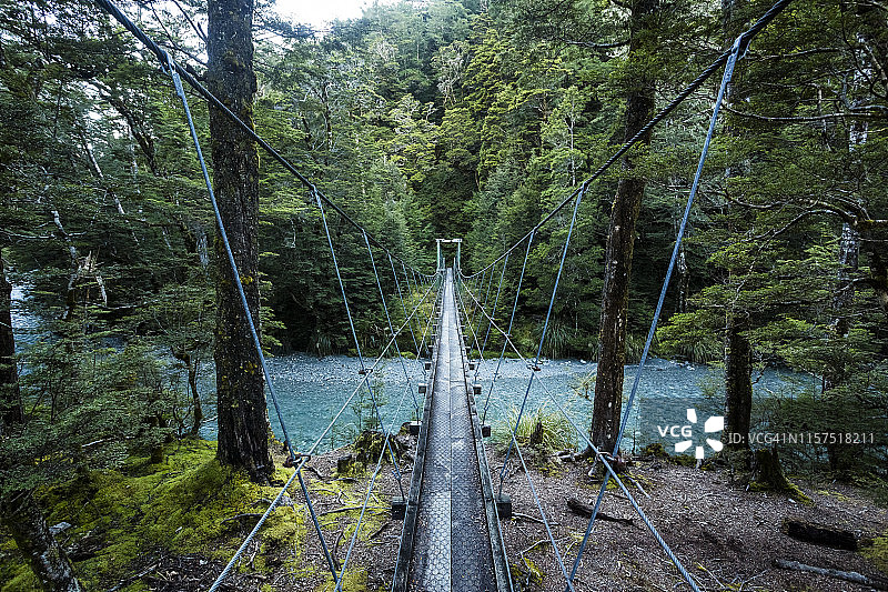 新西兰森林河流上的摇摆桥图片素材