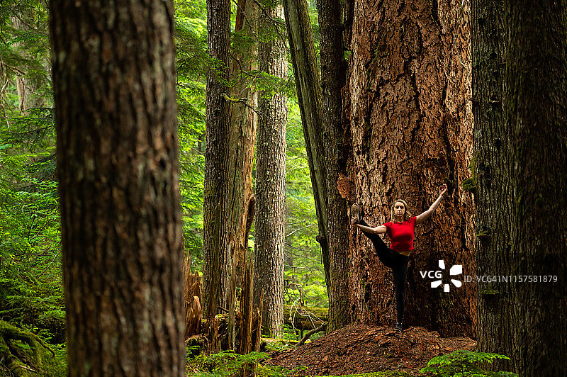 在热带雨林中做伸展运动的健康女人图片素材