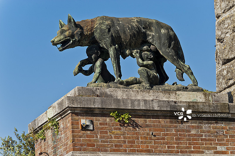 锡耶纳的母狼雕像图片素材