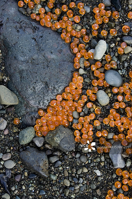 生命珠宝图片素材