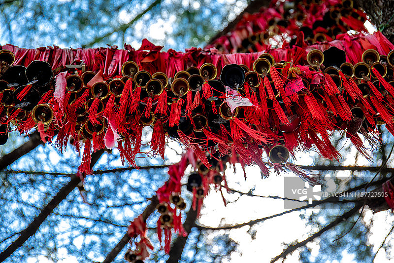 许愿树图片素材