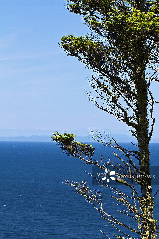 海达瓜依托山景观图片素材