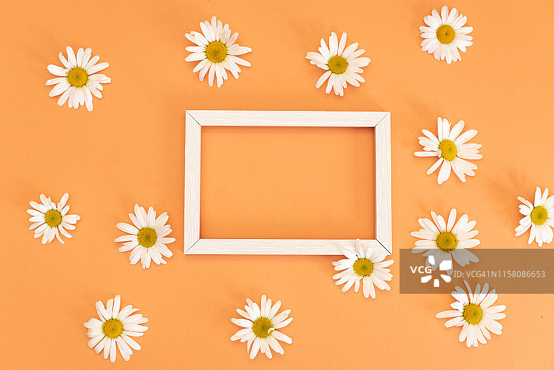 蓝色粉彩雏菊花卉平铺图案背景图片素材