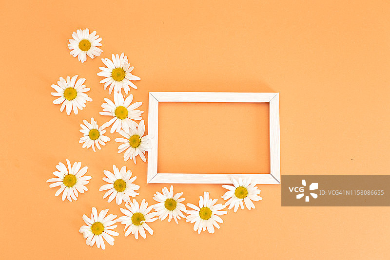 蓝色粉彩雏菊花卉平铺图案背景图片素材