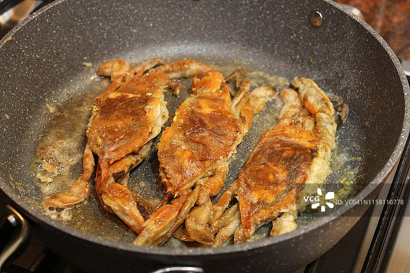 马里兰软壳蟹图片素材