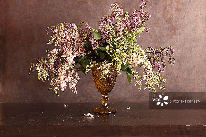 匈牙利丁香图片素材